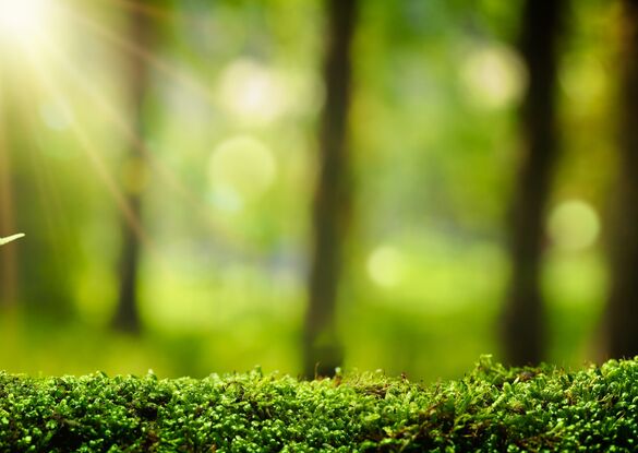 AdobeStock_201803112